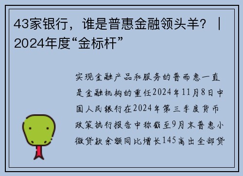 43家银行，谁是普惠金融领头羊？｜2024年度“金标杆”